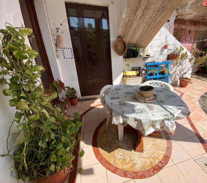 Shaka Guest House Giba Exteriér fotografie